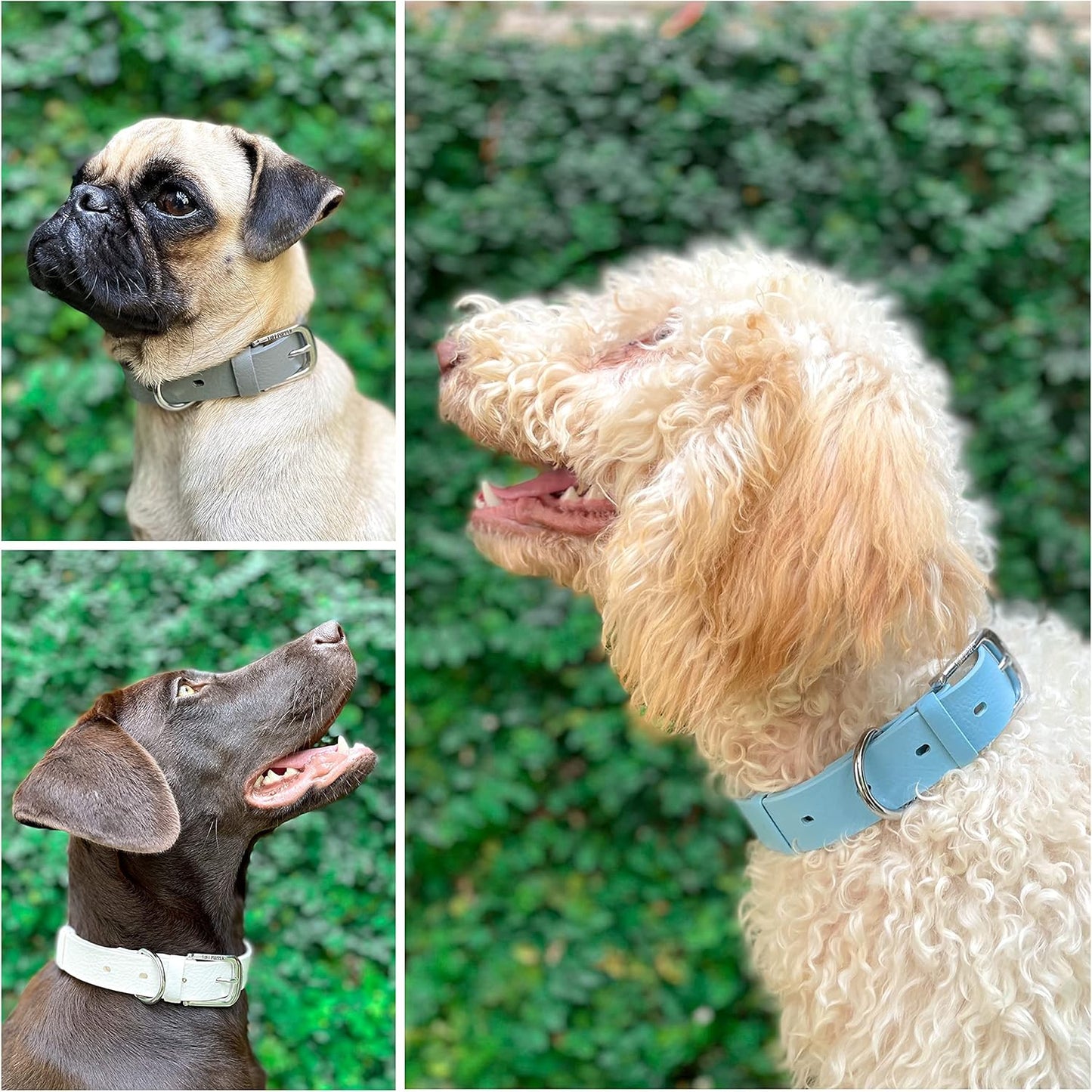 Tuff Pupper Classic Heavy Duty Dog Collar | 10x Stronger Than Leather | 100% Waterproof & Odor Proof Dog Collar | Tough Rust-Proof All Metal Hardware - PuriLite