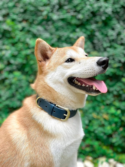 Tuff Pupper Classic Heavy Duty Dog Collar | 10x Stronger Than Leather | 100% Waterproof & Odor Proof Dog Collar | Tough Rust-Proof All Metal Hardware - PuriLite