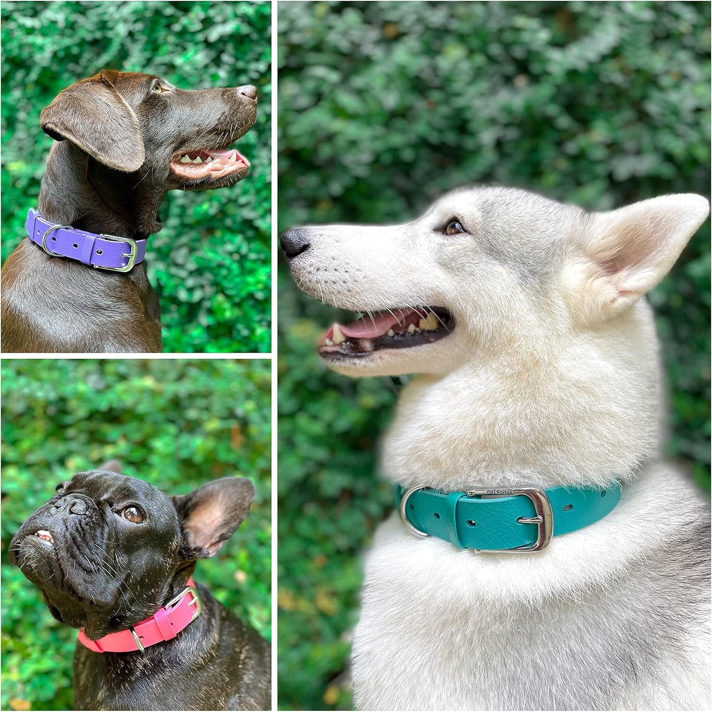Tuff Pupper Classic Heavy Duty Dog Collar | 10x Stronger Than Leather | 100% Waterproof & Odor Proof Dog Collar | Tough Rust-Proof All Metal Hardware - PuriLite