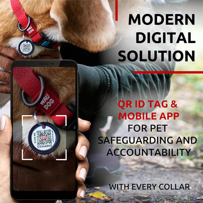 Waterproof Dog Collar - Adjustable Glow Dog Collar for Large Dogs, Small and Medium Dogs - Heavy Duty Dog Collars with Durable Metal Clasp and QR Dog Tag - Glow in The Dark Dog Collars - PuriLite