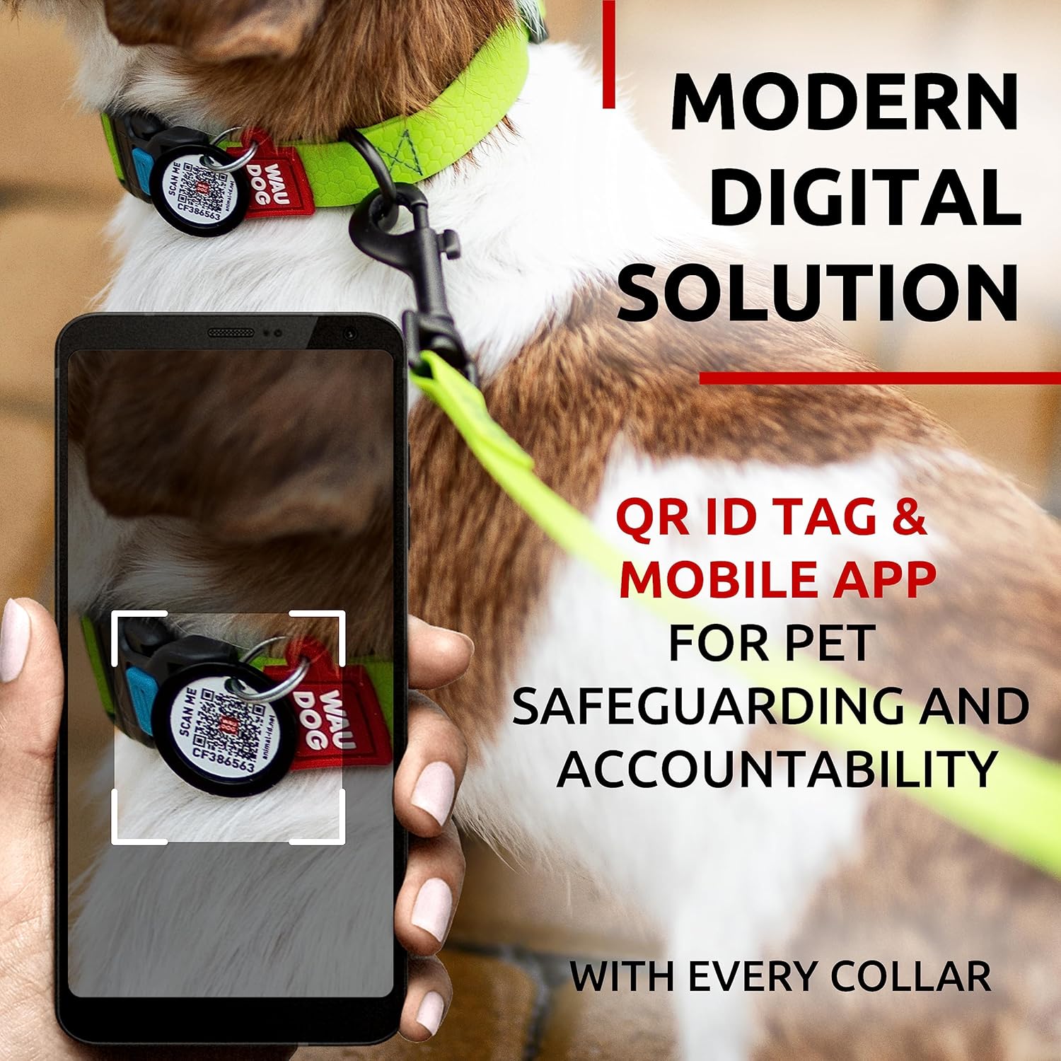 Waterproof Dog Collar - Adjustable Glow Dog Collar for Large Dogs, Small and Medium Dogs - Heavy Duty Dog Collars with Durable Metal Clasp and QR Dog Tag - Glow in The Dark Dog Collars - PuriLite