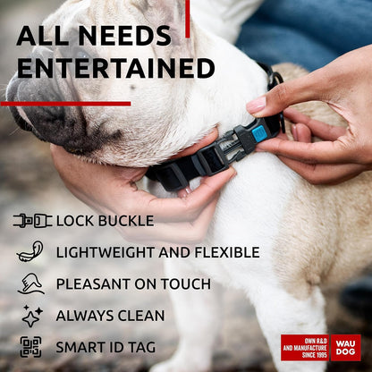 Waterproof Dog Collar - Adjustable Glow Dog Collar for Large Dogs, Small and Medium Dogs - Heavy Duty Dog Collars with Durable Metal Clasp and QR Dog Tag - Glow in The Dark Dog Collars - PuriLite