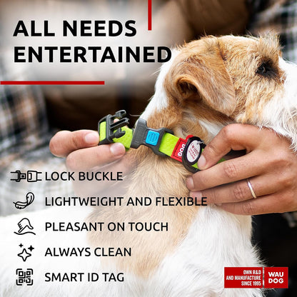 Waterproof Dog Collar - Adjustable Glow Dog Collar for Large Dogs, Small and Medium Dogs - Heavy Duty Dog Collars with Durable Metal Clasp and QR Dog Tag - Glow in The Dark Dog Collars - PuriLite