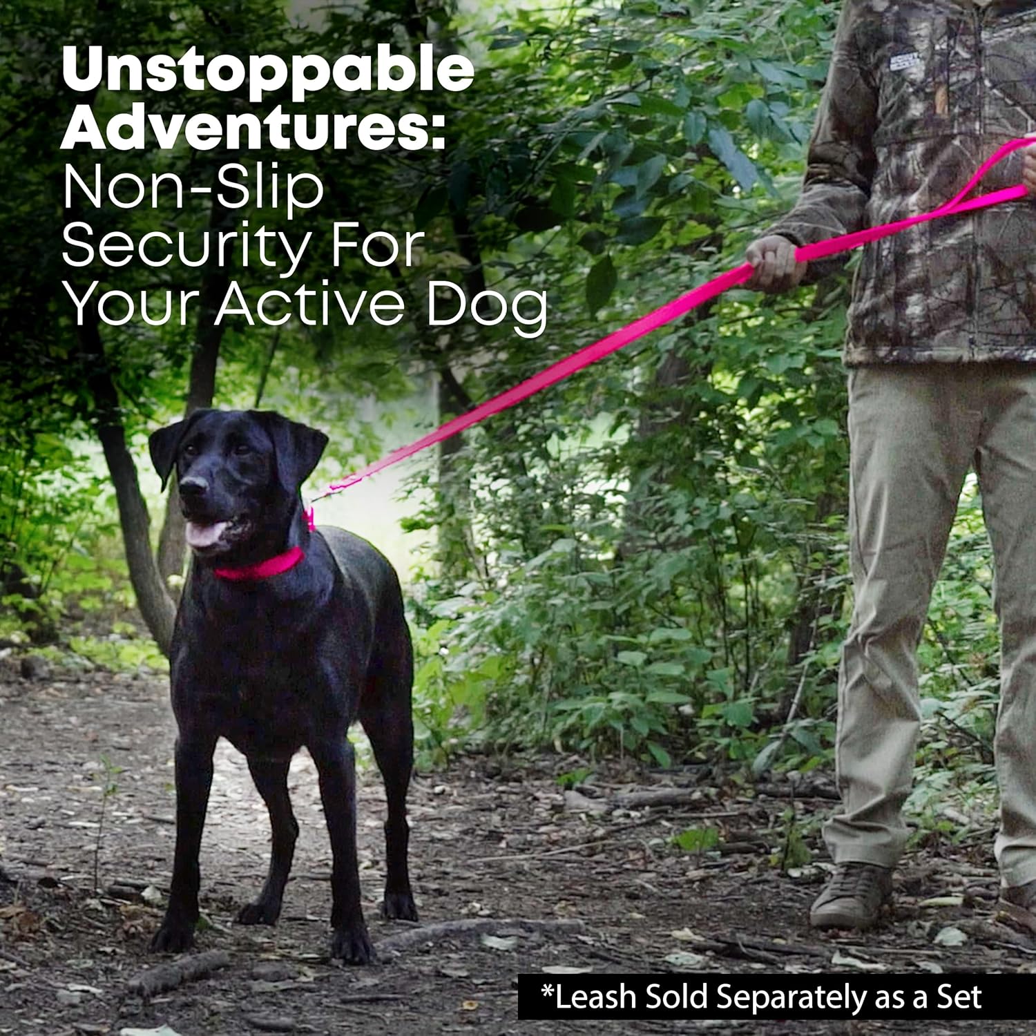 Regal Dog Products Medium Black Waterproof Dog Collar with Gold Buckle, Resilient and Durable Materials, Comfortable Design - for Small, Medium, and Large Breed Dogs - PuriLite