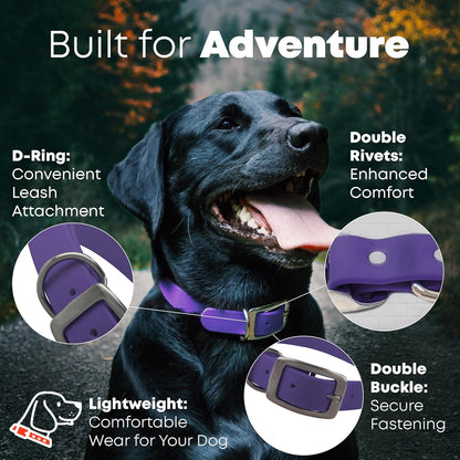 Regal Dog Products Medium Black Waterproof Dog Collar with Gold Buckle, Resilient and Durable Materials, Comfortable Design - for Small, Medium, and Large Breed Dogs - PuriLite