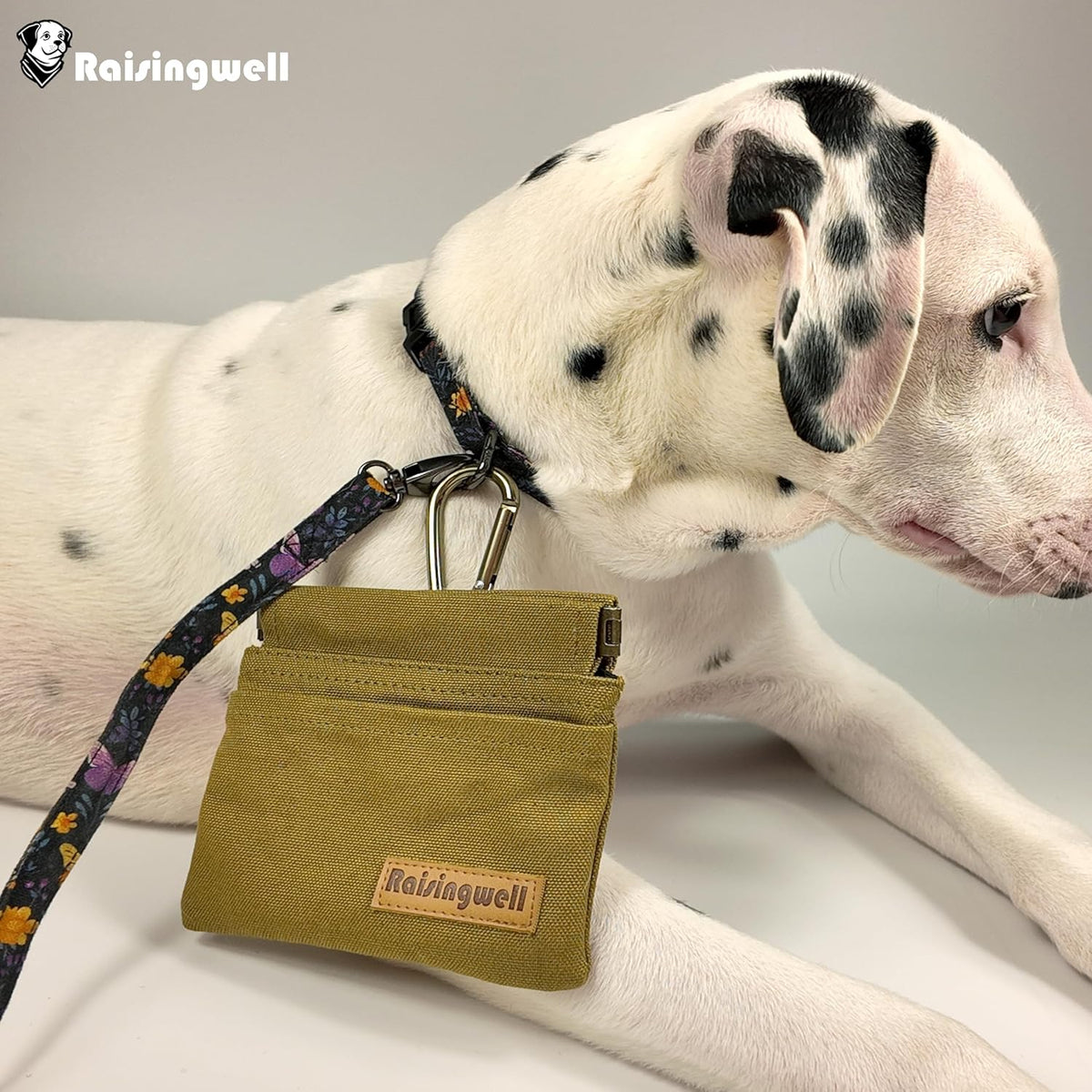 Raisingwell Dog Treat Pouch, Black Pocket Sized Pet Training Pouch, Cotton Fabric, Hand Free Dog Walking Bag with Carabiner, Self-Closing Pet Feed Snack Reward, for Pet Puppy Travel or Outdoor Use - PuriLite