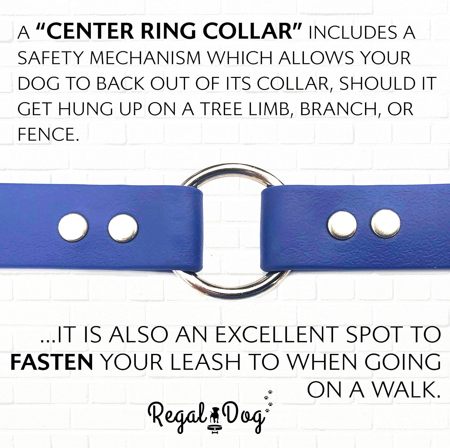 Regal Dog Products Small Orange Waterproof Dog Collar and Leash Set - Vinyl Coated, Biothane Puppy Pet Training Collar with Heavy Duty Center Ring & 5'ft Leash - Other Sizes for Medium & Large Dogs - PuriLite
