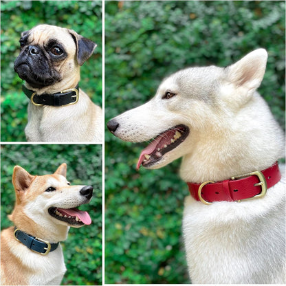 Tuff Pupper Classic Heavy Duty Dog Collar | 10x Stronger Than Leather | 100% Waterproof & Odor Proof Dog Collar | Tough Rust-Proof All Metal Hardware - PuriLite