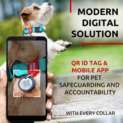 Waterproof Dog Collar - Adjustable Glow Dog Collar for Large Dogs, Small and Medium Dogs - Heavy Duty Dog Collars with Durable Metal Clasp and QR Dog Tag - Glow in The Dark Dog Collars - PuriLite
