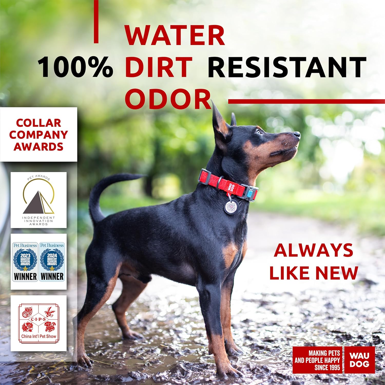 Waterproof Dog Collar - Adjustable Glow Dog Collar for Large Dogs, Small and Medium Dogs - Heavy Duty Dog Collars with Durable Metal Clasp and QR Dog Tag - Glow in The Dark Dog Collars - PuriLite