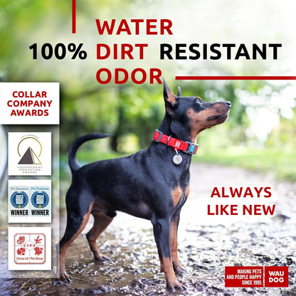 Waterproof Dog Collar - Adjustable Glow Dog Collar for Large Dogs, Small and Medium Dogs - Heavy Duty Dog Collars with Durable Metal Clasp and QR Dog Tag - Glow in The Dark Dog Collars - PuriLite