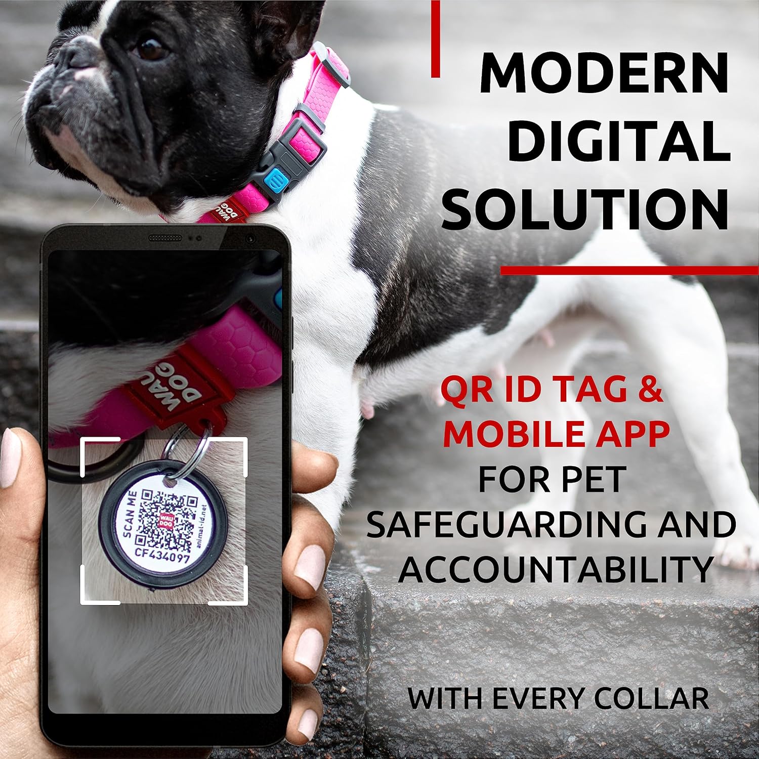 Waterproof Dog Collar - Adjustable Glow Dog Collar for Large Dogs, Small and Medium Dogs - Heavy Duty Dog Collars with Durable Metal Clasp and QR Dog Tag - Glow in The Dark Dog Collars - PuriLite