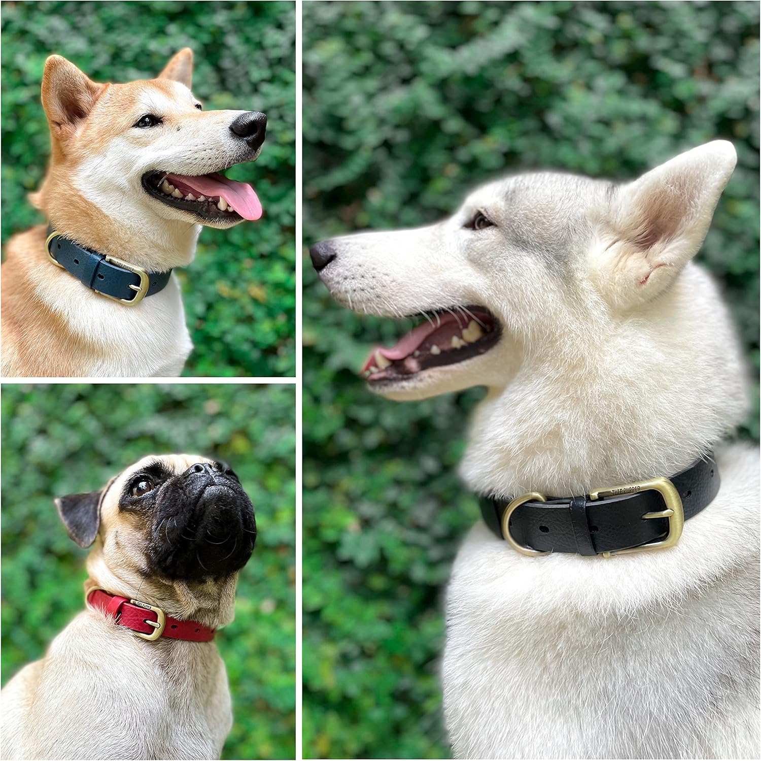 Tuff Pupper Classic Heavy Duty Dog Collar | 10x Stronger Than Leather | 100% Waterproof & Odor Proof Dog Collar | Tough Rust-Proof All Metal Hardware - PuriLite