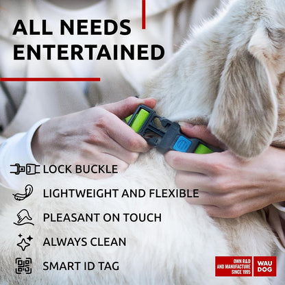 Waterproof Dog Collar - Adjustable Glow Dog Collar for Large Dogs, Small and Medium Dogs - Heavy Duty Dog Collars with Durable Metal Clasp and QR Dog Tag - Glow in The Dark Dog Collars - PuriLite