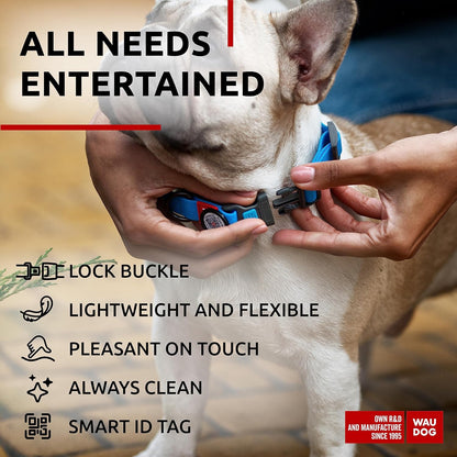 Waterproof Dog Collar - Adjustable Glow Dog Collar for Large Dogs, Small and Medium Dogs - Heavy Duty Dog Collars with Durable Metal Clasp and QR Dog Tag - Glow in The Dark Dog Collars - PuriLite