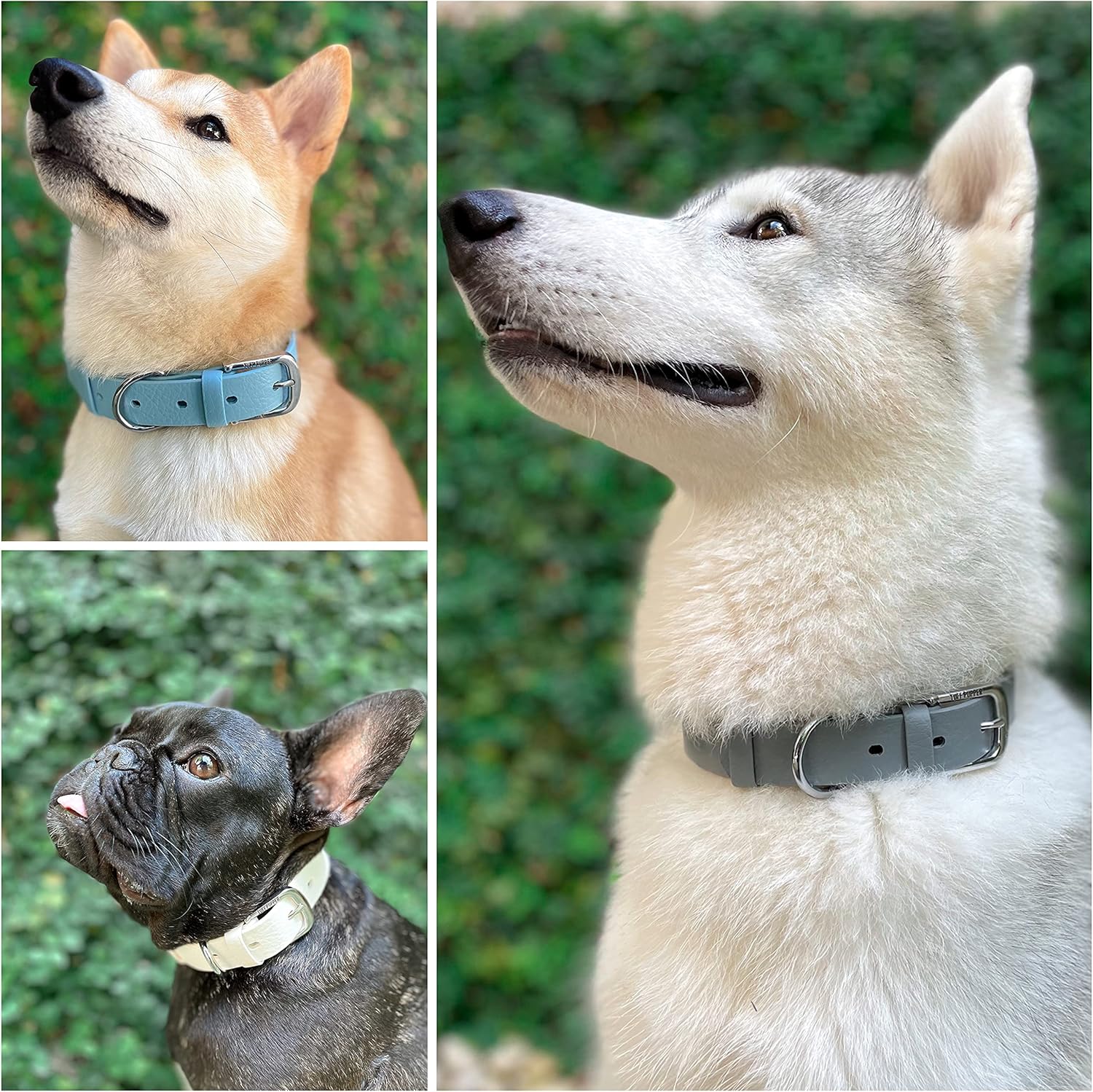 Tuff Pupper Classic Heavy Duty Dog Collar | 10x Stronger Than Leather | 100% Waterproof & Odor Proof Dog Collar | Tough Rust-Proof All Metal Hardware - PuriLite