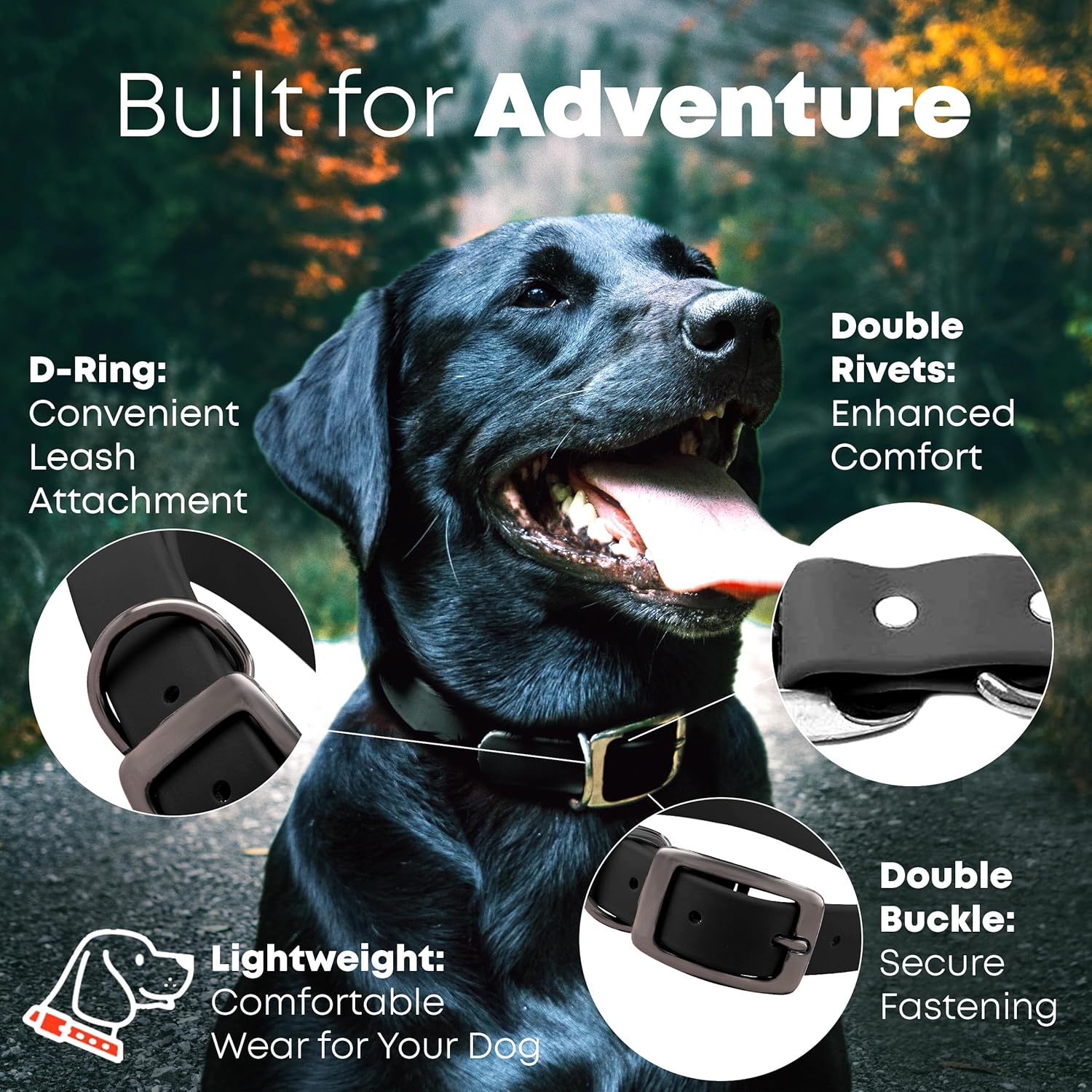 Regal Dog Products Medium Black Waterproof Dog Collar with Gold Buckle, Resilient and Durable Materials, Comfortable Design - for Small, Medium, and Large Breed Dogs - PuriLite