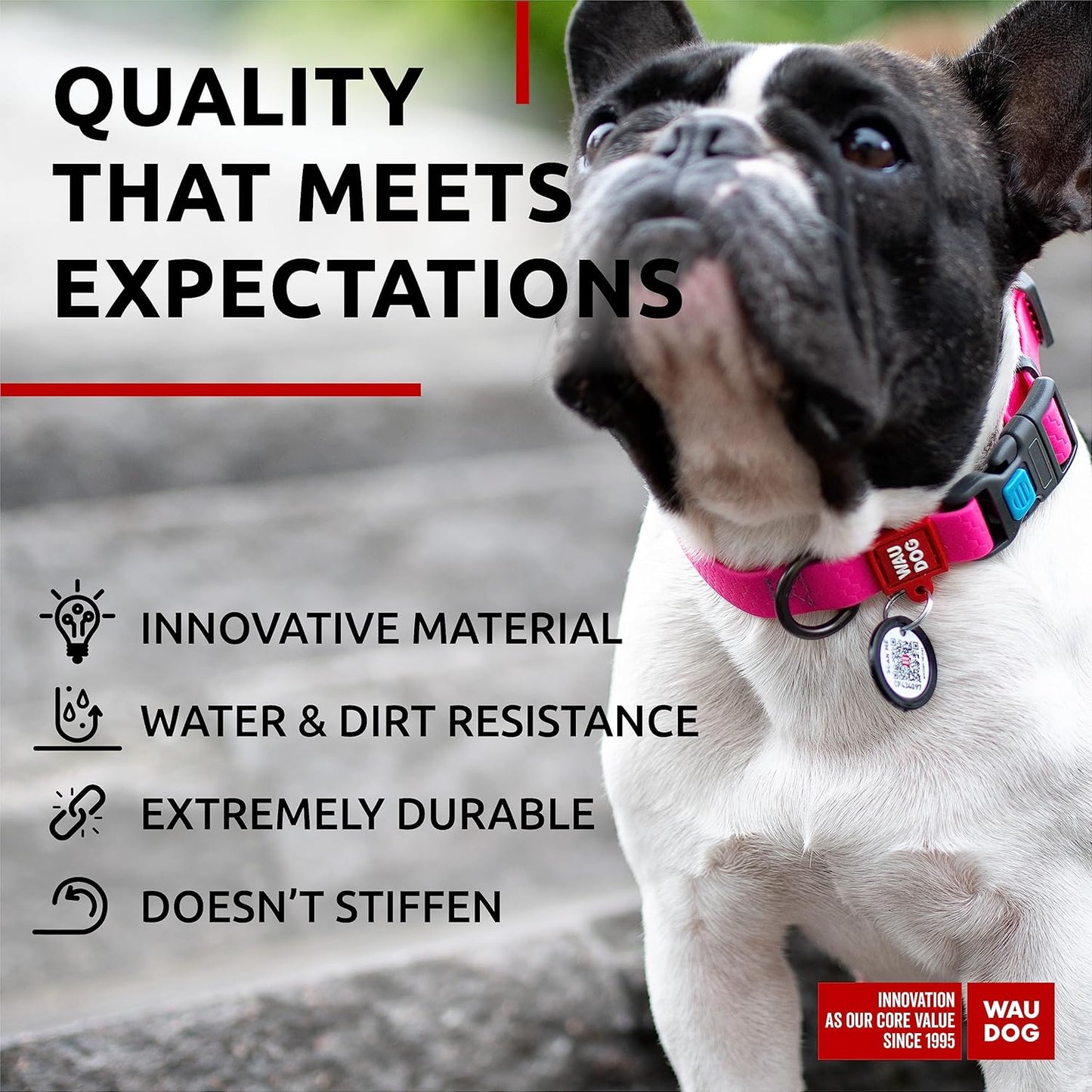 Waterproof Dog Collar - Adjustable Glow Dog Collar for Large Dogs, Small and Medium Dogs - Heavy Duty Dog Collars with Durable Metal Clasp and QR Dog Tag - Glow in The Dark Dog Collars - PuriLite