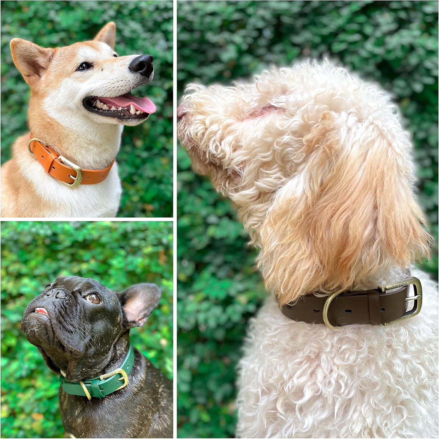 Tuff Pupper Classic Heavy Duty Dog Collar | 10x Stronger Than Leather | 100% Waterproof & Odor Proof Dog Collar | Tough Rust-Proof All Metal Hardware - PuriLite