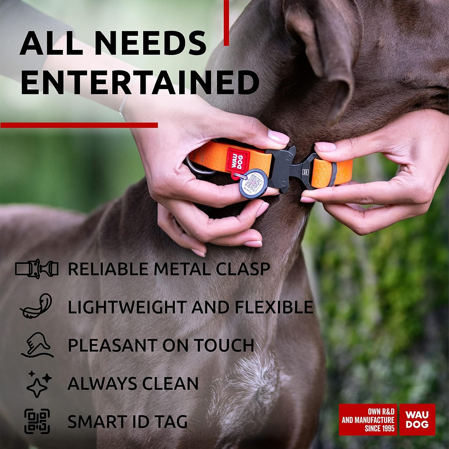 Waterproof Dog Collar - Adjustable Glow Dog Collar for Large Dogs, Small and Medium Dogs - Heavy Duty Dog Collars with Durable Metal Clasp and QR Dog Tag - Glow in The Dark Dog Collars - PuriLite