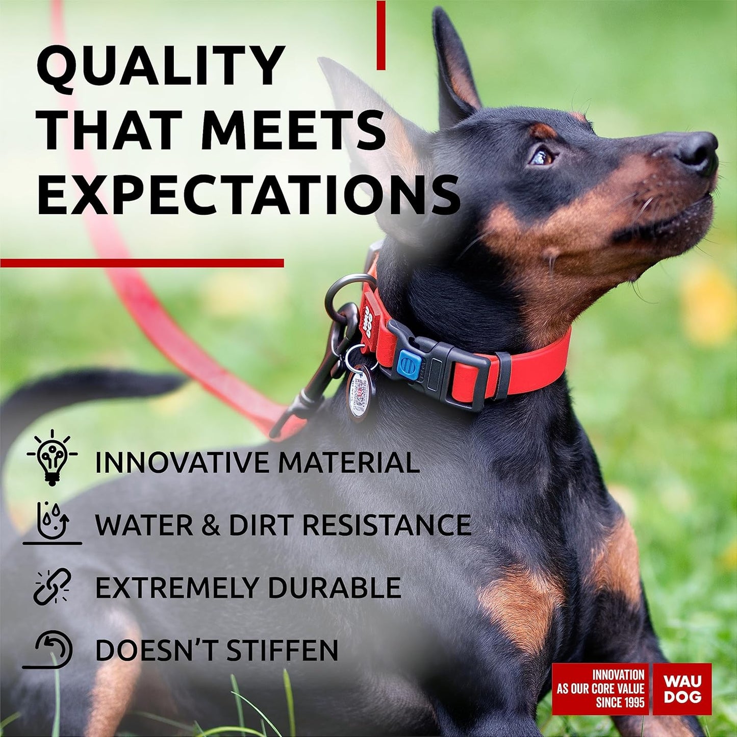 Waterproof Dog Collar - Adjustable Glow Dog Collar for Large Dogs, Small and Medium Dogs - Heavy Duty Dog Collars with Durable Metal Clasp and QR Dog Tag - Glow in The Dark Dog Collars - PuriLite