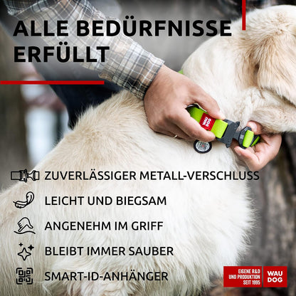 Waterproof Dog Collar - Adjustable Glow Dog Collar for Large Dogs, Small and Medium Dogs - Heavy Duty Dog Collars with Durable Metal Clasp and QR Dog Tag - Glow in The Dark Dog Collars - PuriLite