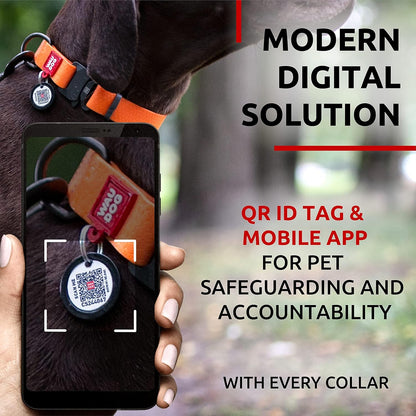 Waterproof Dog Collar - Adjustable Glow Dog Collar for Large Dogs, Small and Medium Dogs - Heavy Duty Dog Collars with Durable Metal Clasp and QR Dog Tag - Glow in The Dark Dog Collars - PuriLite