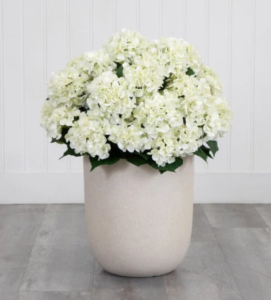 Faux Hydrangea Floor Plant 88.9 cm (35 in.) - PuriLite