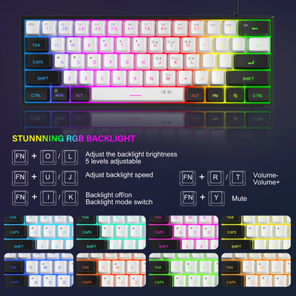 Purilite Select TS91 60% Compact RGB Backlit Wired Keyboard - PuriLite