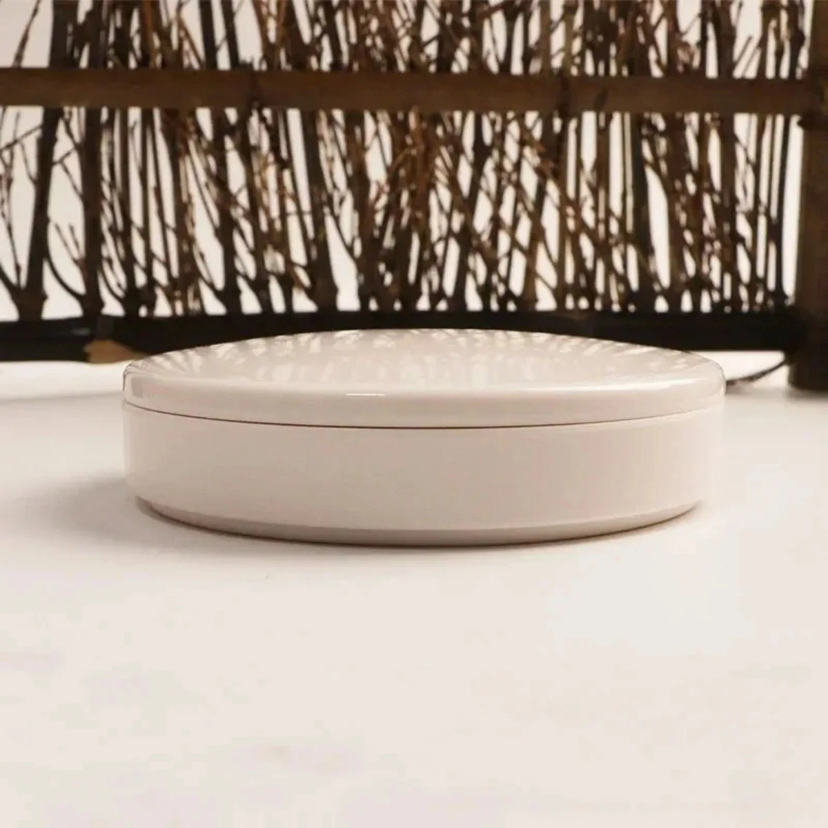 Purilite Select Imitation Porcelain Round Paint Palette with Lid - PuriLite