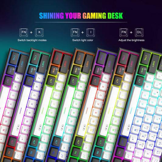 Purilite Select TS91 60% Compact RGB Backlit Wired Keyboard - PuriLite