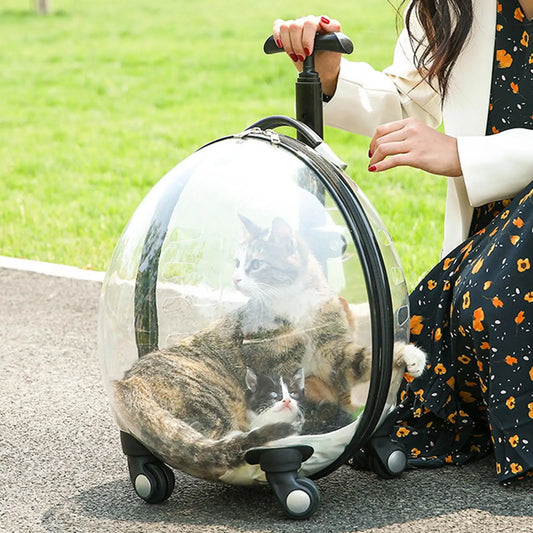 Purilite Select Transparent Pet Carrier Trolley Case – Rolling Cat Backpack Capsule for Travel, Walking & Outdoor Use - PuriLite