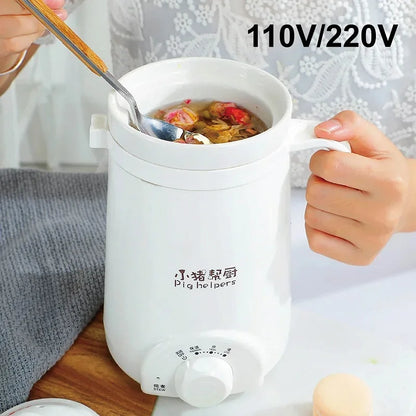 110V Health Cup Office Ceramic Soup Porridge Health Kettle Tea Maker With Temperature Adjust Portable Electric Stew Cup 500ml - PuriLite