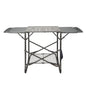 Cuisinart Take Along Grill Stand 54" X 20" (CFGS-222A-C) - PuriLite