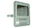 200W Explosion Proof LED Fixture - 380-415V AC - ATEX/IECEx Rated, Z1/Z2, Z21/Z22 - IP66 - Pole Mount - PuriLite