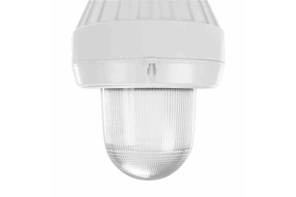 Replacement Globe for Explosion Proof Incandescent Lamps - EPL-CM Series up to 150W - PuriLite