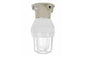 Ceiling Mount for the EPL-CM Series Explosion Proof Light Fixtures - 3/4" Hub - Flat Surface Box - PuriLite