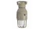 42W Explosion Proof Compact Fluorescent Emergency Light - 3200 Lumens - C1D1&2- 120-277V AC - PuriLite
