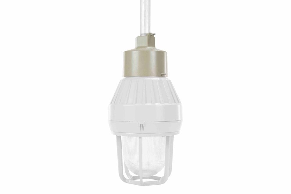 Pendant Mount Kit for EPL-HHB-100W-LED Series of LED Explosion Proof Strobe Lights - PuriLite