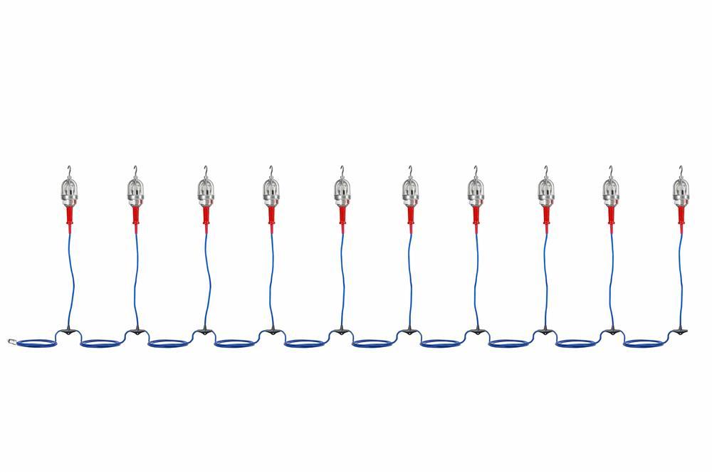 Explosion Proof LED String Lights - 10 lights - C1D1/C2D1 - 50ft 12/3 Line In w/ Blunt Cut End - PuriLite