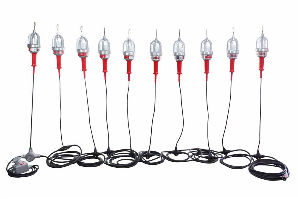 Explosion Proof LED String Lights - 10 lights - Daisy Chain End-2-End Connection - 100ft Stringer - PuriLite