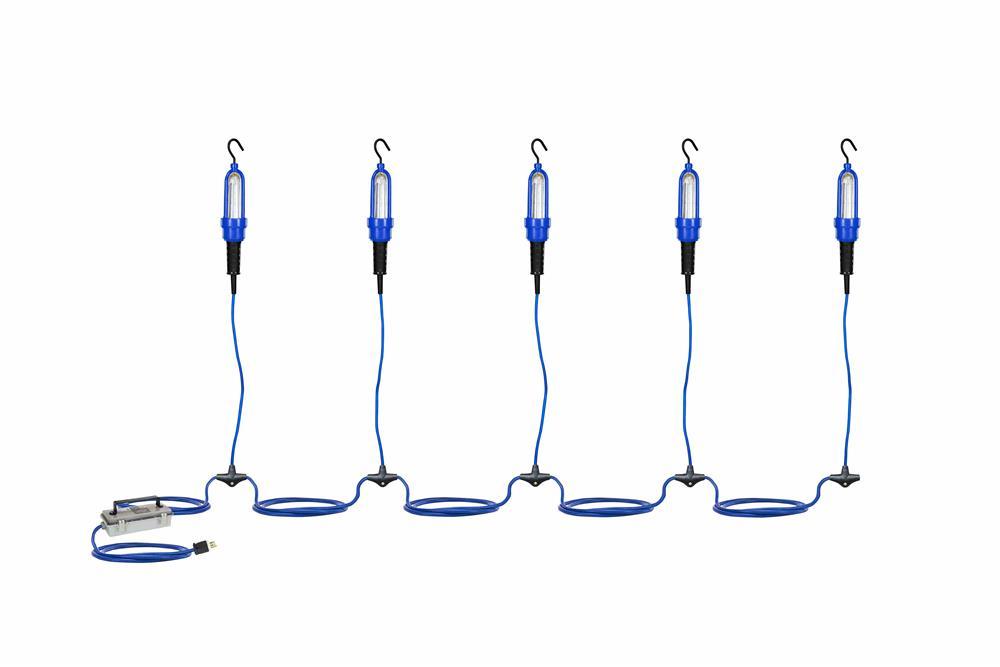 Explosion Proof LED String Lights - 120-277V AC to LV DC - Inline Xfrmr - 50' Cord w/ Cord Cap - PuriLite