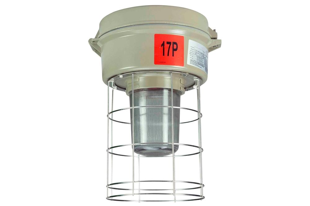 Class 2 Division 1 Light - 175W Metal Halide Light - PuriLite