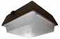 45 Watt Low Profile LED Canopy Light - Replaces 175 Watt MH Fixtures - 347/480V AC - IP65 Rated - PuriLite