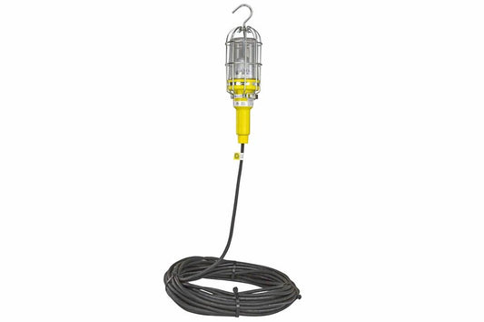 10 Watt Vapor Proof (Waterproof) LED Drop Light w/ Lexan Globe - 100' Cord - Explosion Proof Plug - PuriLite