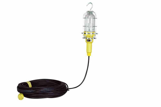 10 Watt Vapor Proof (Waterproof) LED Drop Light w/ Lexan Globe - 25' Cord - Stainless Steel Guard - PuriLite