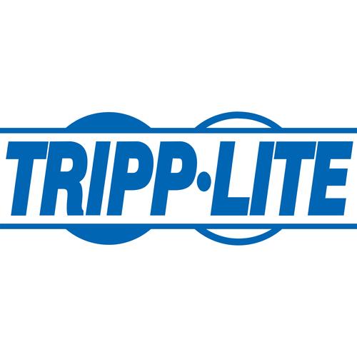 Tripp Lite EXTERNAL UPS BATTERY PACK 100AH NO BATT - PuriLite